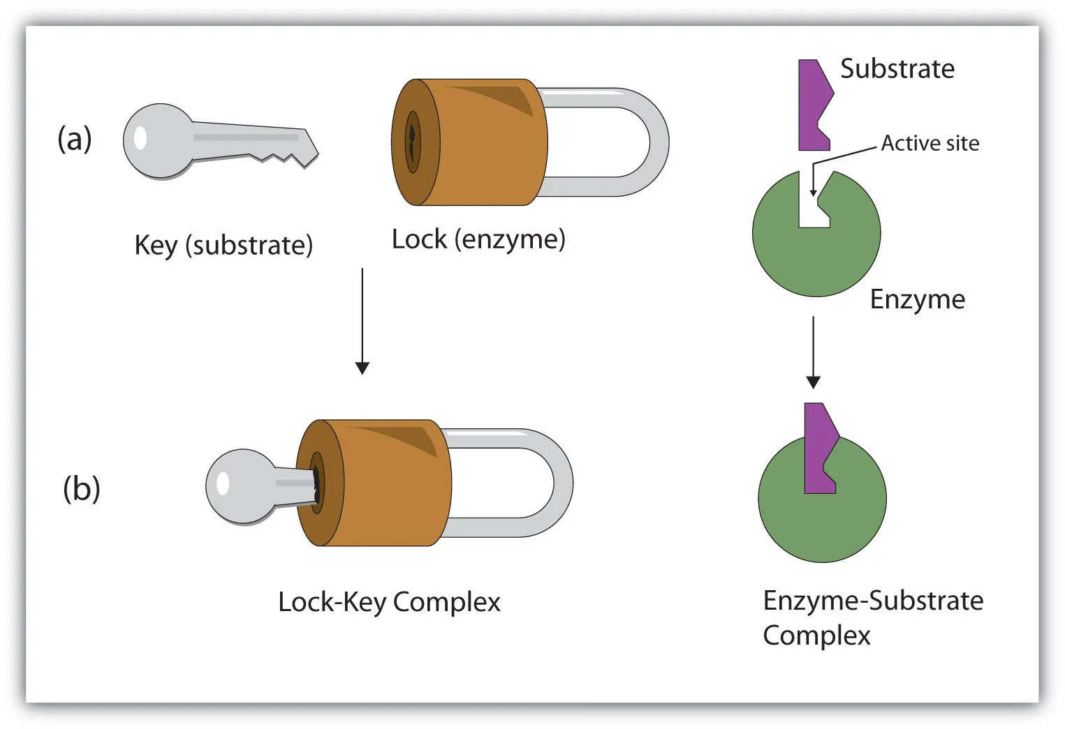 Lock and Key